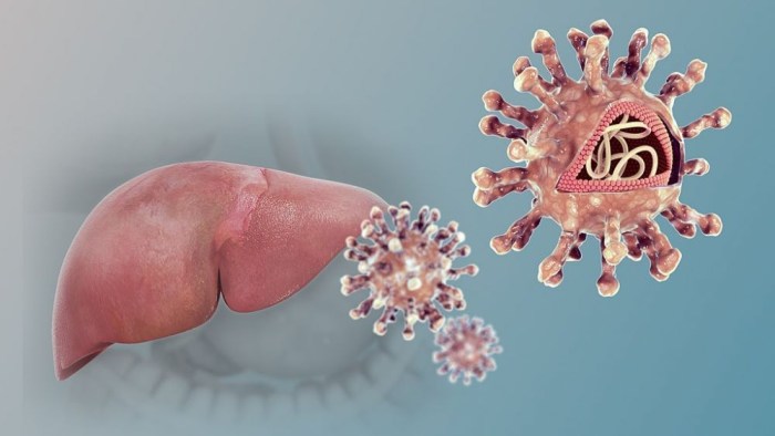 Hepatitis B dan C: Apa Bedanya?