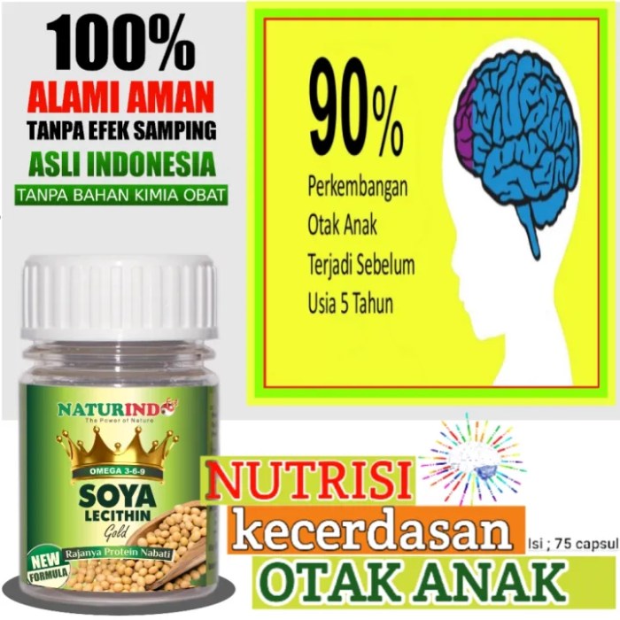 Kombinasi Asupan Nutrisi dan Logika untuk Otak Sehat