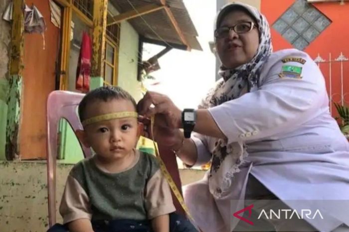 Program Gizi Anak dan Balita Fokuskan Intervensi Langsung