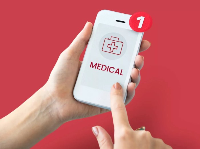 Kemenkes Luncurkan Aplikasi Rekam Medis Nasional Digital