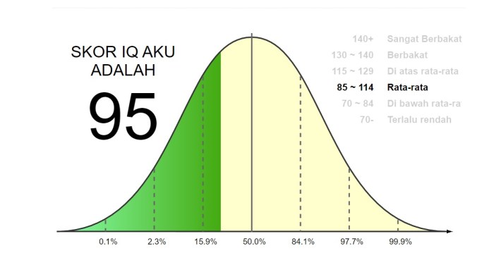 Tes IQ Logika: Berapa Skor Kamu?