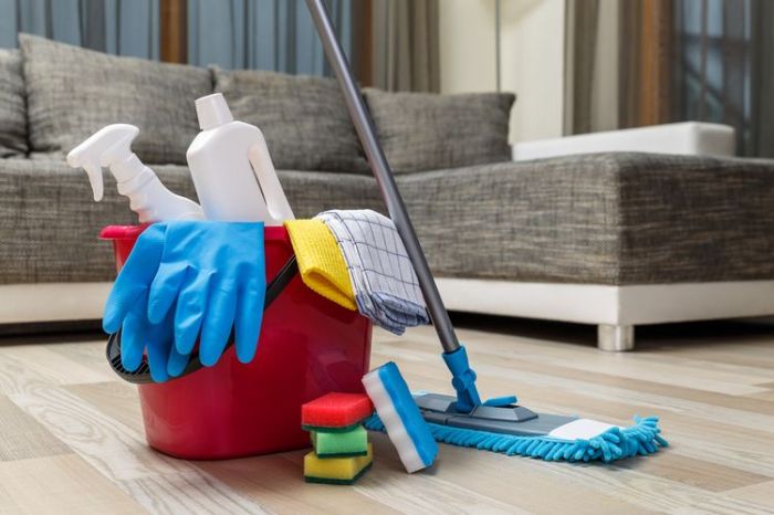 Tips Membersihkan Rumah Agar Bebas Kuman