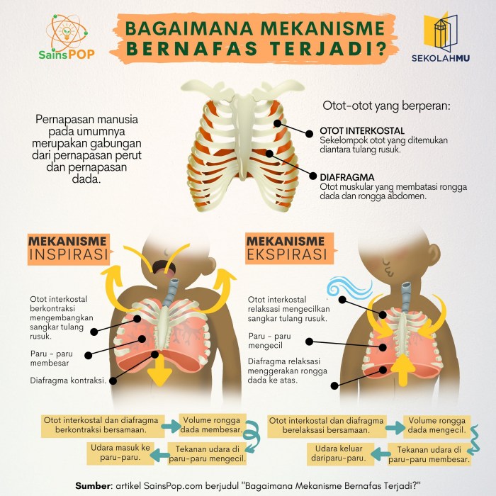 Fakta Medis: Apa yang Terjadi Saat Tubuh Dehidrasi