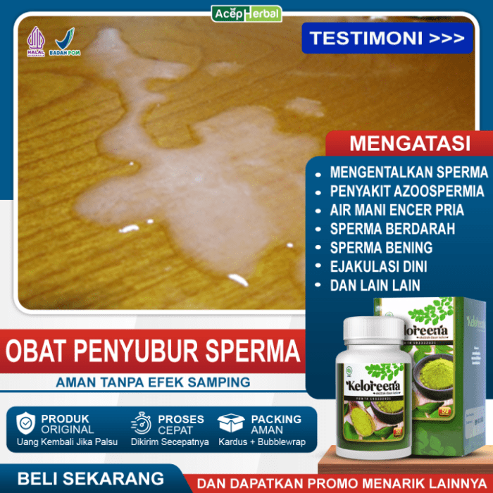 Efek Obat & Suplemen terhadap Performa Seksual