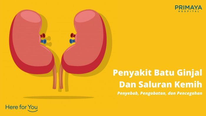 Infeksi Saluran Kemih: Gejala, Penyebab, dan Penanganan