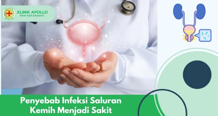 Infeksi Saluran Kemih: Gejala, Penyebab, dan Penanganan