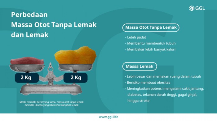 Perbedaan Lemak Baik dan Lemak Jahat, Ada di Mana Saja, dan Kenapa Bisa ... Perbedaan Lemak Baik dan Lemak Jahat