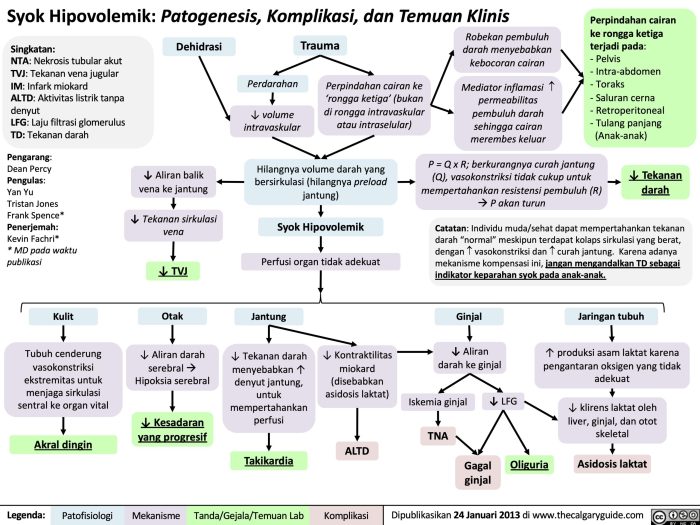 Fakta Medis: Apa yang Terjadi Saat Tubuh Dehidrasi