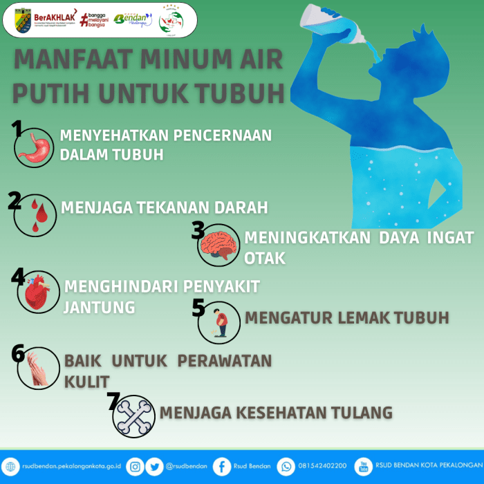 Air Putih dan Peran Pentingnya dalam Diet Sehat