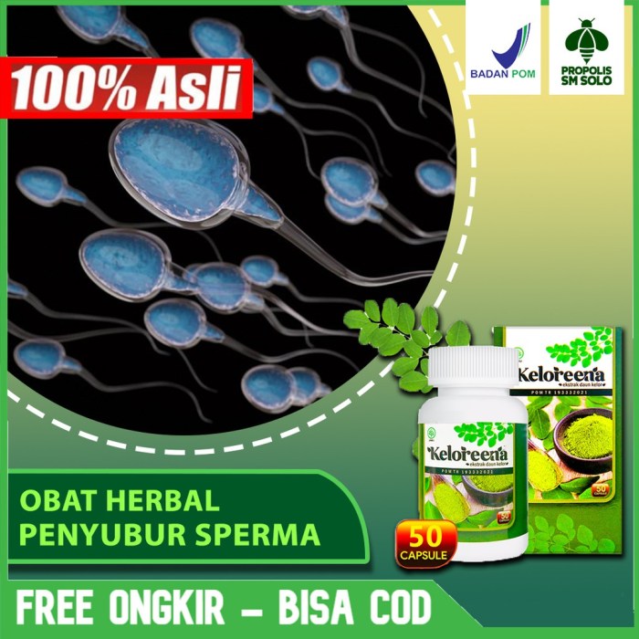 Efek Obat & Suplemen terhadap Performa Seksual