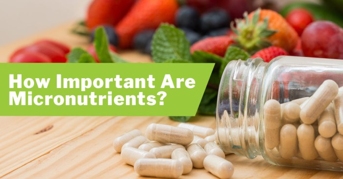 Apa Itu Micronutrient dan Mengapa Kita Membutuhkannya