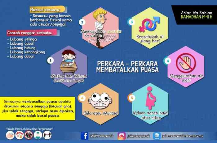 Fakta Menarik: Otak Bisa Bertambah Tajam Lewat Latihan Sederhana