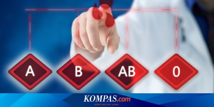 Hubungan Golongan Darah A dan Tingkat Risiko Stroke