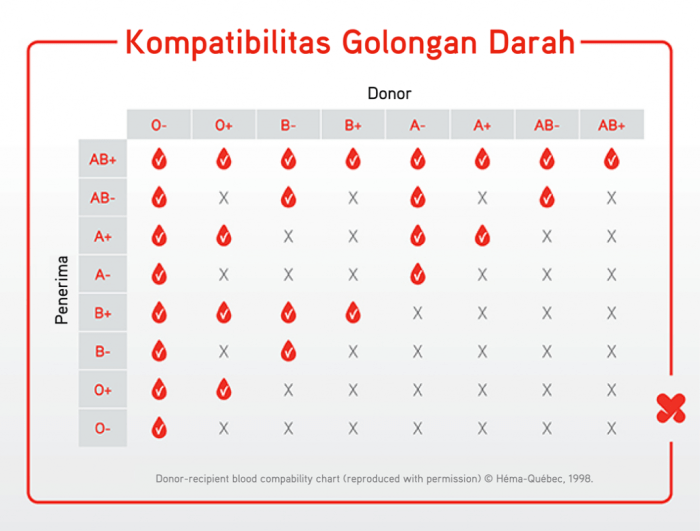 Golongan Darah A Perlu Waspada, Ini Kaitannya dengan Stroke