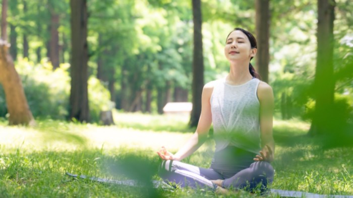 Fisik dan mental: Manfaat Meditasi untuk Kesehatan Mental dan Fisik Anda Manfaat Meditasi Harian untuk Keseimbangan Mental