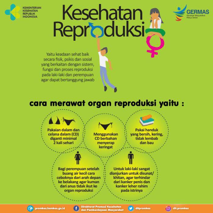 Edukasi Kesehatan Reproduksi Remaja