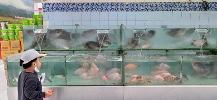 Pemerintah Galakkan Konsumsi Ikan untuk Gizi Nasional