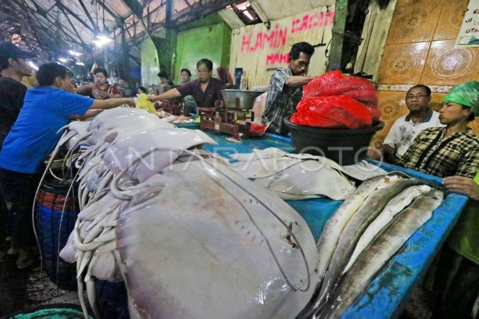 Kaltengtoday.com - Masalah Stunting bisa diatasi dengan konsumsi ikan