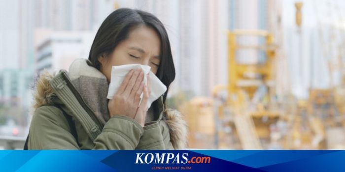 Kenali Perbedaan Flu Biasa dan Covid-19
