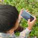 Pengguna Internet Indonesia Didominasi Gen Z dan Alpha, Psikolog Ungkap Tantangan Perkembangan Anak