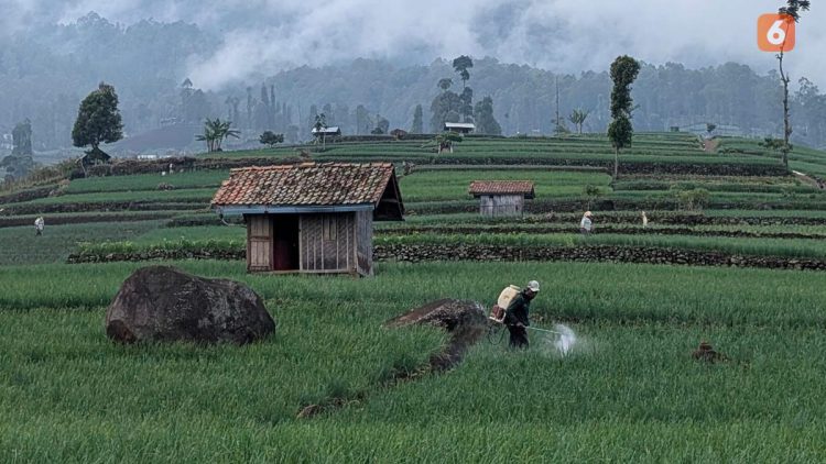 Kasus Bunuh Diri Tertinggi Berdasarkan 5 Jenis Profesi, Petani Paling Banyak