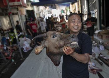Aktivitas Pemotongan Hewan Kurban di Jakarta