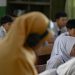 Kemdikdasmen Tambah Mata Pelajaran TKA, IPA, dan Bahasa Inggris