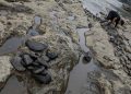 Kemarau Ekstrem, 140 Titik di Banten Mengalami Kekeringan