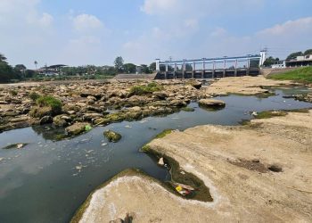 Debit Air Sungai Cisadane Menyusut 12 Persen Saat Musim Kemarau