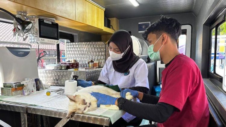 DKI Siapkan 5 Unit Mobil Klinik Hewan Keliling di Lima Wilayah Kota