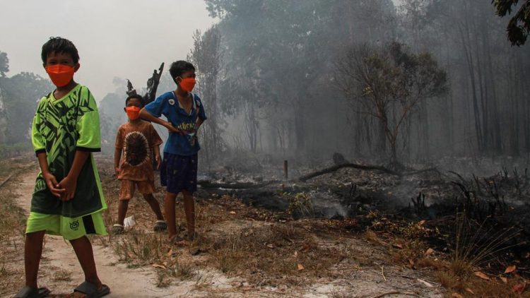 298 Kasus di Palangka Raya Mengakibatkan Penerbangan Dibatalkan