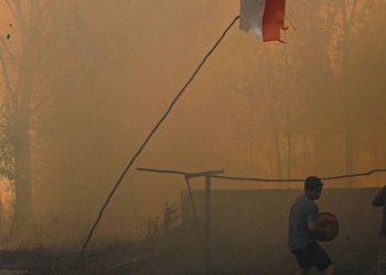 Desakan Komisi IV Agar Penanganan Karhutla Kalimantan Jadi Prioritas Nasional