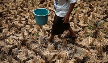 Dampak Kemarau di Kabupaten Bekasi dalam Foto