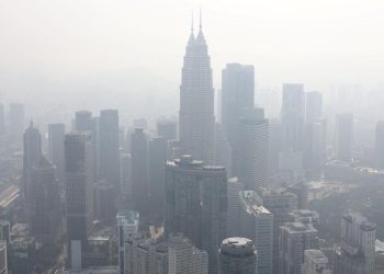Prioritas Penanganan Kebakaran Hutan dan Lahan di Enam Provinsi oleh Pemerintah