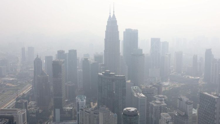 Prioritas Penanganan Kebakaran Hutan dan Lahan di Enam Provinsi oleh Pemerintah