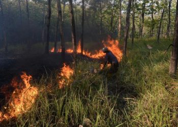 Karhutla Bangka Tengah Capai 118 Hektare Juli hingga Agustus 2026
