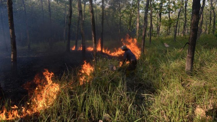 Karhutla Bangka Tengah Capai 118 Hektare Juli hingga Agustus 2026