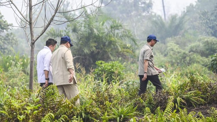 Prabowo Kunjungi Riau untuk Tinjau Penanganan Karhutla Sumatra
