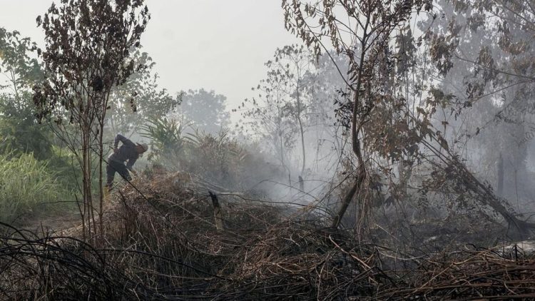 Kebakaran Lahan Kulon Progo, Api Terjadi di Bendungan Kamijoro