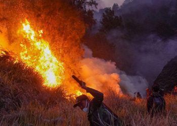 Kebakaran di Bromo Meluas hingga Luas 742 Hektare