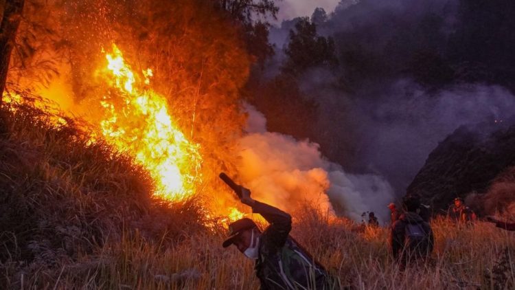 Kebakaran di Bromo Meluas hingga Luas 742 Hektare