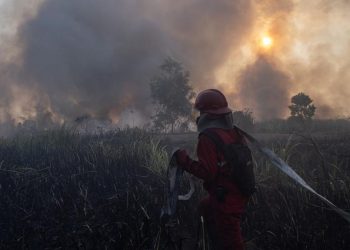 Karhutla Kalsel Meningkat, Tambahan Pasukan Darat dan Water Bombing Diterjunkan