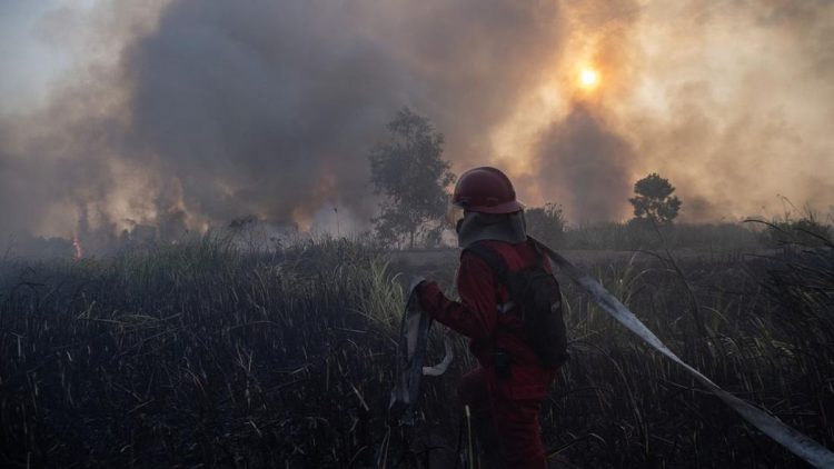 Karhutla Kalsel Meningkat, Tambahan Pasukan Darat dan Water Bombing Diterjunkan