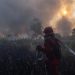 Karhutla Kalsel Meningkat, Tambahan Pasukan Darat dan Water Bombing Diterjunkan