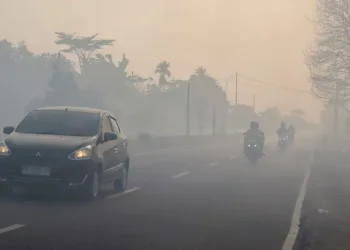 Dampak Kabut Asap Karhutla terhadap Gangguan Pernapasan dan Iritasi Mata
