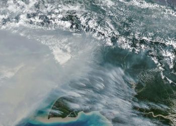 Jumlah Titik Panas Karhutla di Papua Selatan Menurun, Tersisa 65 Hotspot