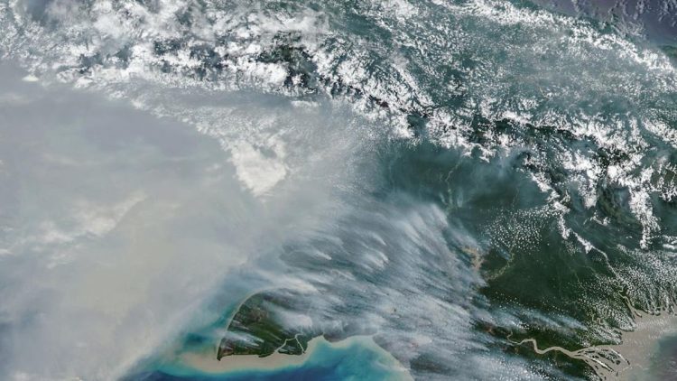 Jumlah Titik Panas Karhutla di Papua Selatan Menurun, Tersisa 65 Hotspot