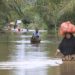Pemkab Aceh Selatan Tetapkan Tanggap Darurat Terkait Banjir