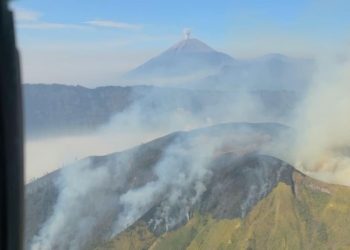Karhutla Menghantam Lima Kawasan Gunung di Jawa Timur