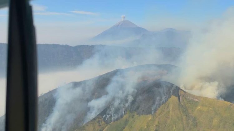 Karhutla Menghantam Lima Kawasan Gunung di Jawa Timur